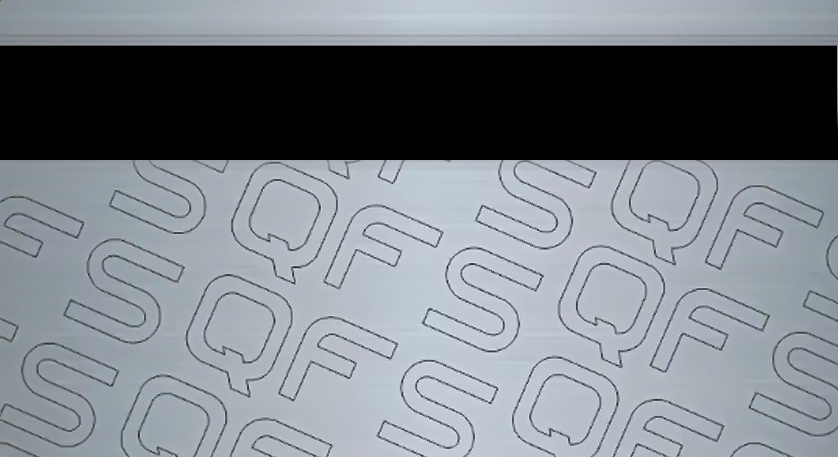 QFS License Card Back